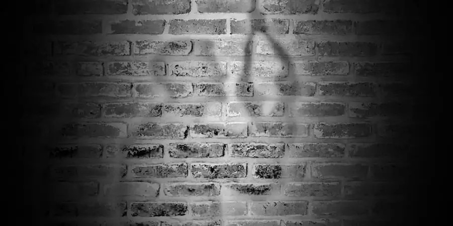 1-suicidio