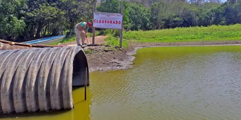 3-La-inspeccion-de-Profepa-que-termino-en-clausura
