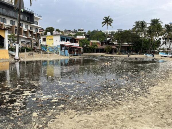 Escándalo ambiental: vierten aguas fecales en la bahía de Puerto Escondido