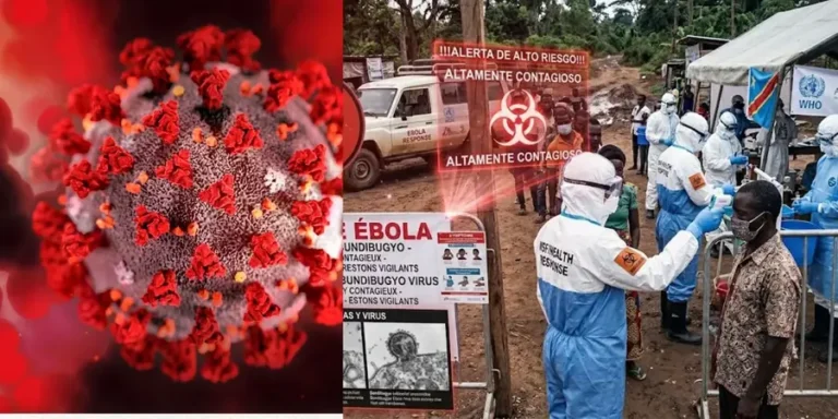 Alerta-ebola