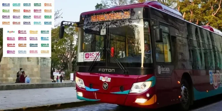 BinniBus-5
