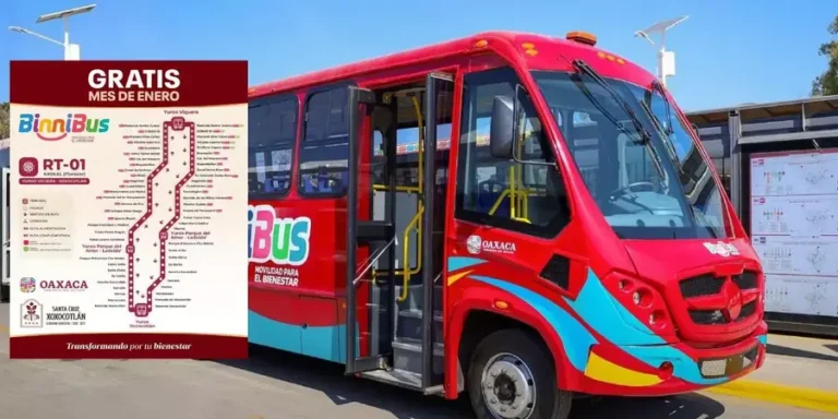 BinniBus-gratis-1