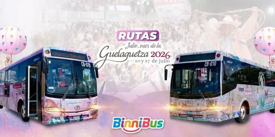 Binnibus-6