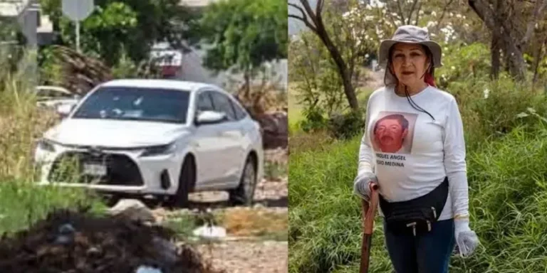 CMadre-buscadora