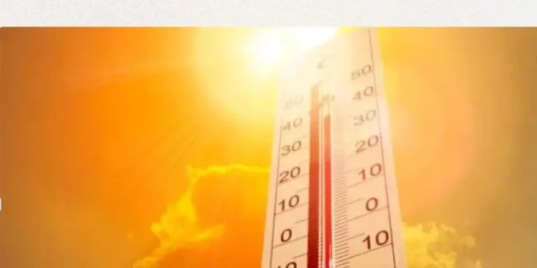 Calor