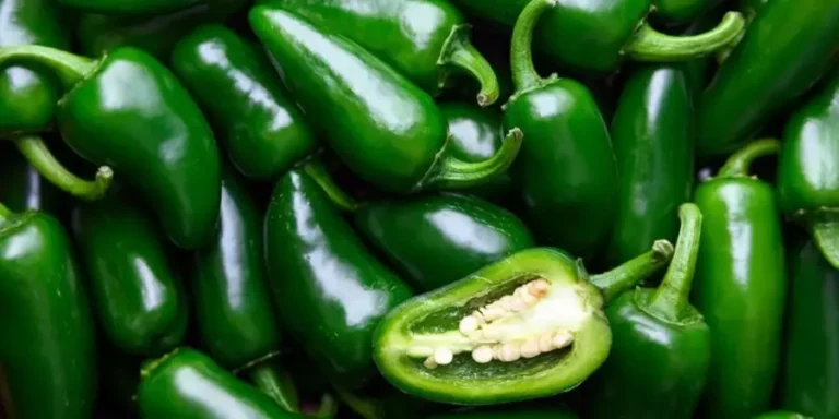 Chiles-jalapenos