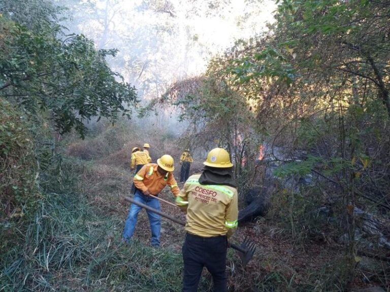 Coordina-Gobierno-de-Oaxaca-acciones-de-atencion-ante-incendios-forestales-activos-en-el-Istmo-1