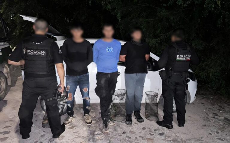 Detenidos_tortugas-puerto-vallarta-jalisco-12102026