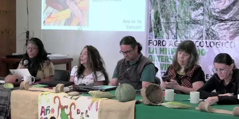 El-foro