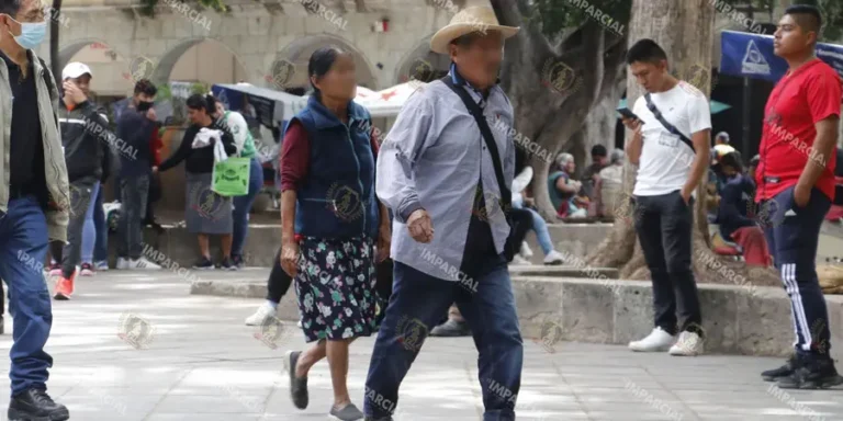 En-30-anos-se-duplicaria-la-poblacion-de-adultos-mayores-en-Oaxaca_