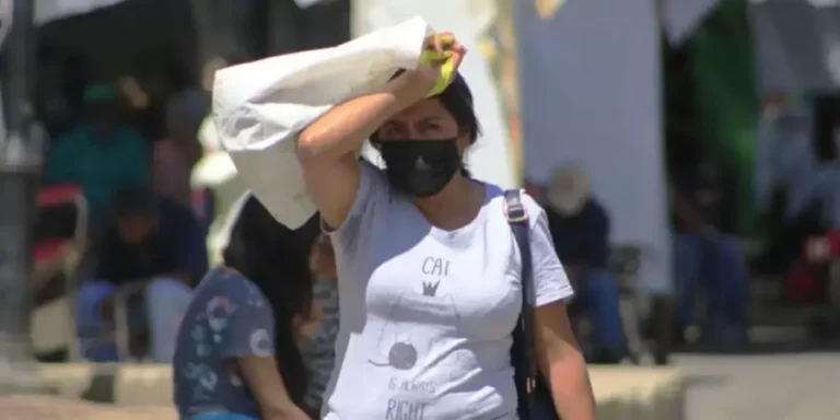 Golpe-de-calor-1