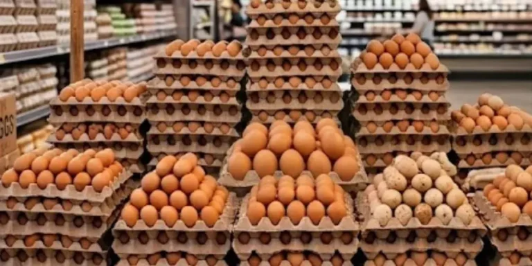 Huevos-FDA
