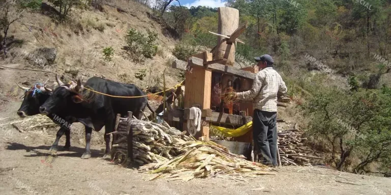 La-pobreza-laboral-se-acentua-para-quienes-trabajan-el-campo