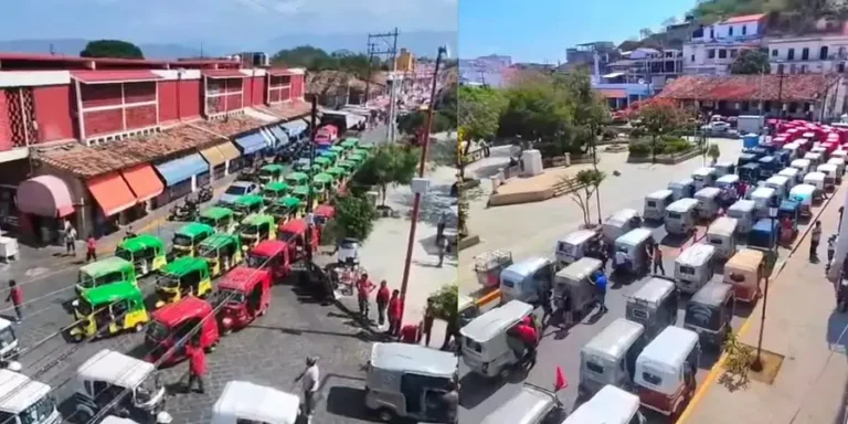 MOTOTAXIS