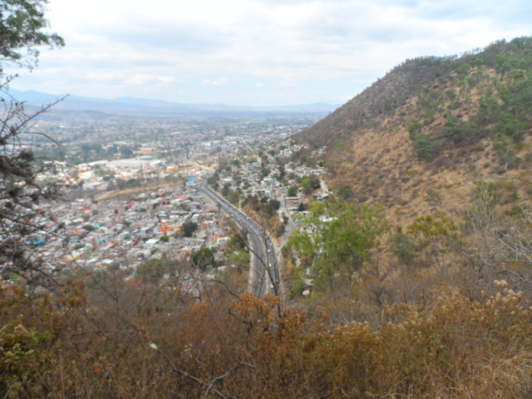 MUNICIPIOS-1067x800-1