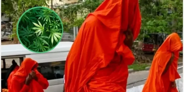 Monjes-Marihuana