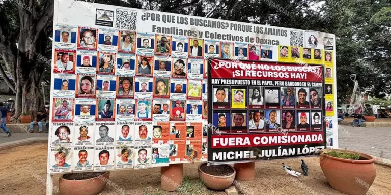 Mujeres-indigenas-desaparecidas-son-olvidadas-en-cifras-oficiales-y-en-el-mar-de-la-crisis-de-personas-ausentes_-1
