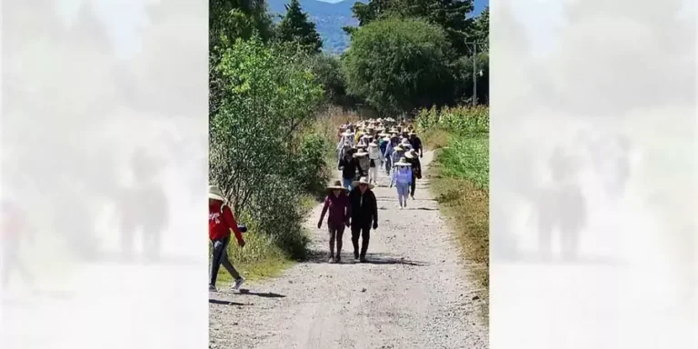 Recomendaron