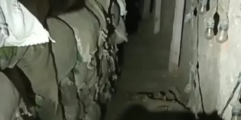 TUNEL