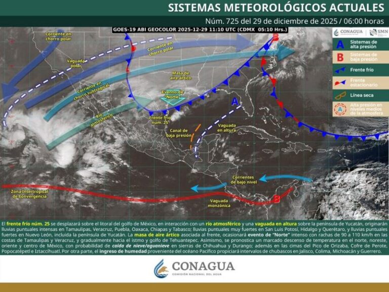 WhatsApp-Image-2025-12-29-at-7.54.09-AM-1067x800-1