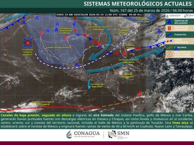 WhatsApp-Image-2026-03-25-at-8.10.07-AM-1067x800-1