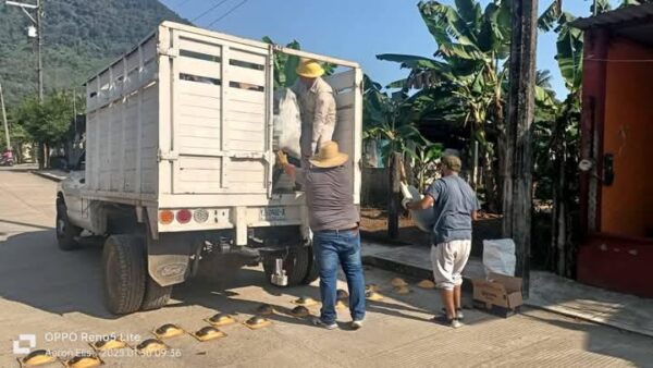 Alerta por dengue: IMSS Oaxaca refuerza medidas ante temporada de lluvias