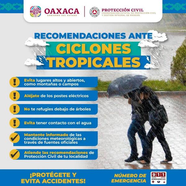 WhatsApp-Image-2026-10-09-at-3.29.42-PM-800x800-1