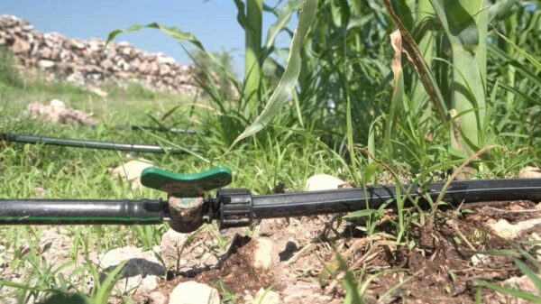 Cuenta regresiva: 30 de abril, límite para regularizar concesiones de agua en Oaxaca