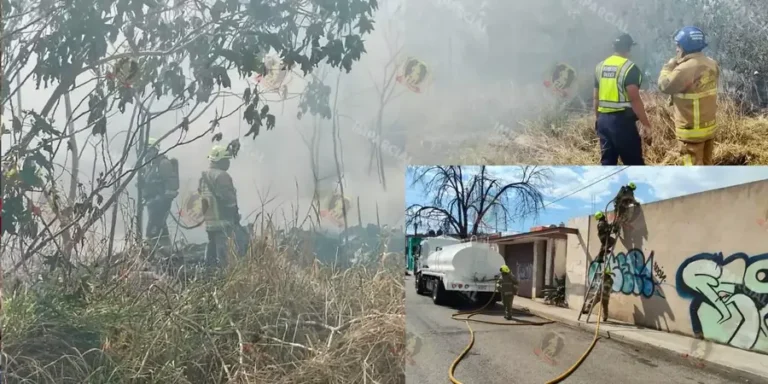 arde-2