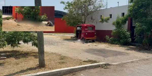 Pariente de funcionarios entre tres muertos tras balacera en Juchitán