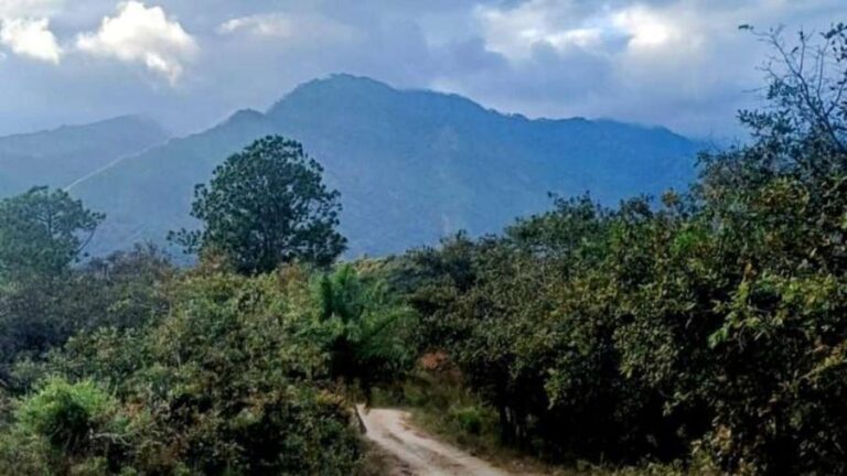 chimalapas