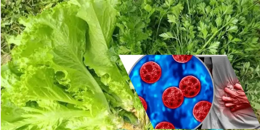 ciclosporiasis
