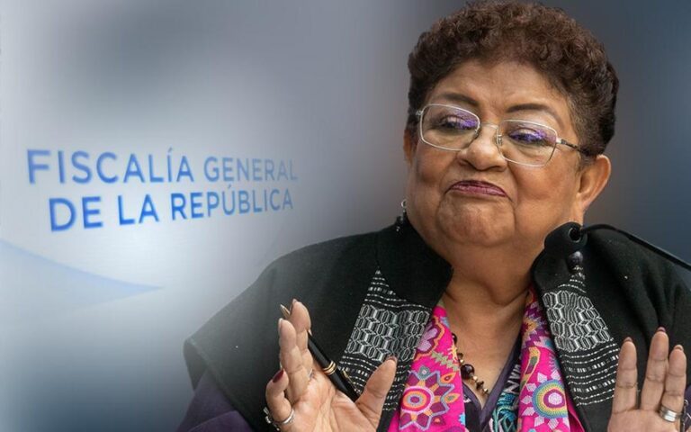 ernestina-godoy-fgr-2-13012026