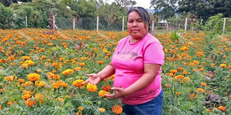 floricultora
