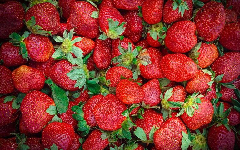fresas-pexels-19082026