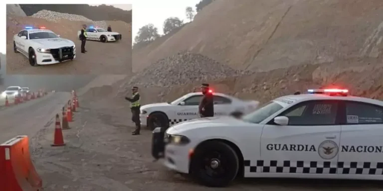 gn