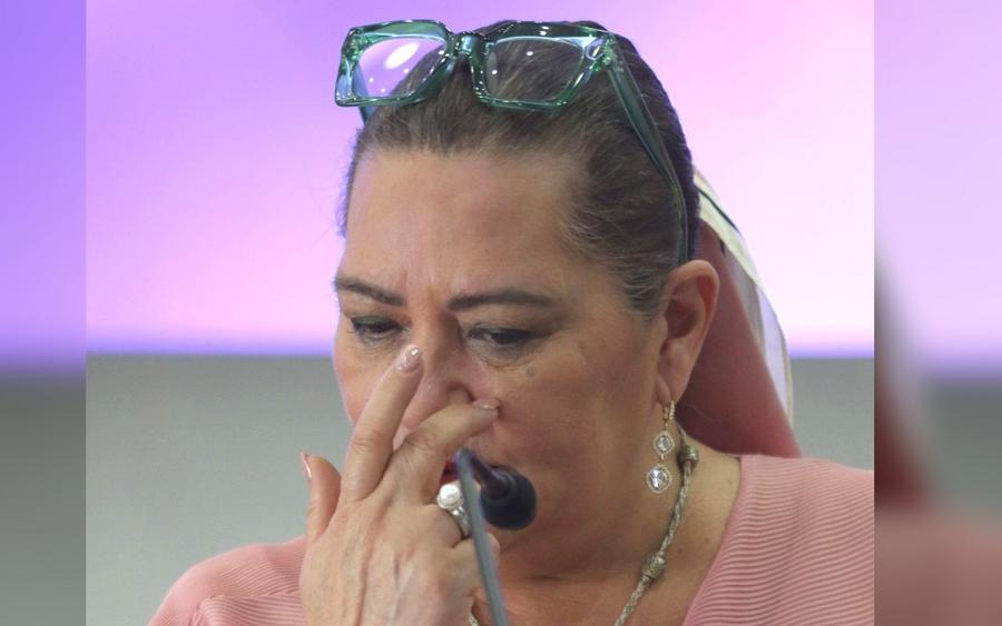 guadalupe-taddei-consejera-presidenta-INE-1