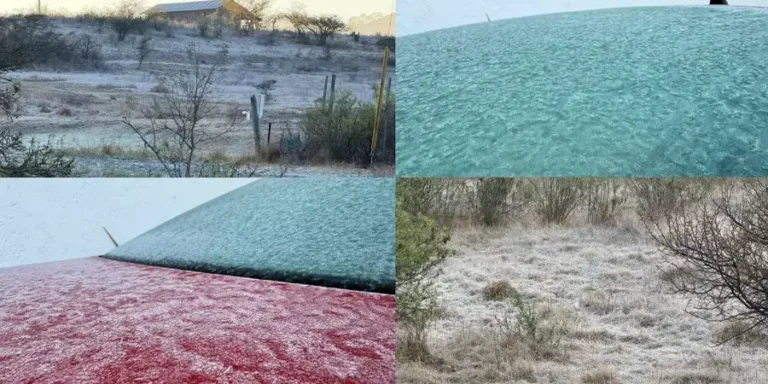 hielo
