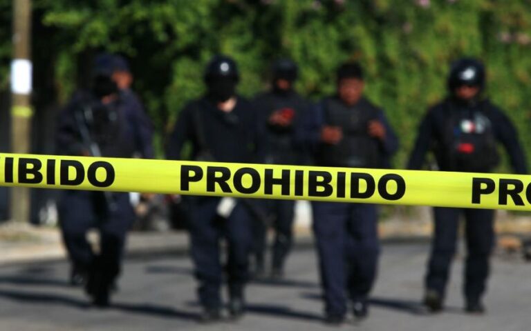 homicidios-asesinatos-onu-mexico-crimen-organizado-pax-mafiosa-violencia-2-08122023