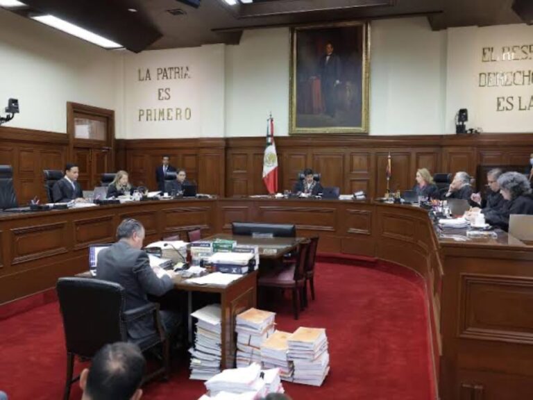 imagen-19