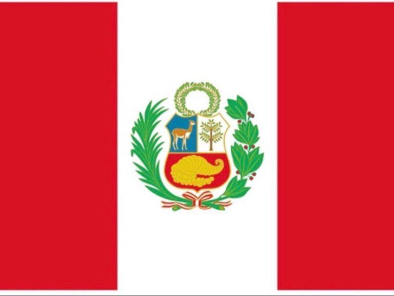 imagen-29