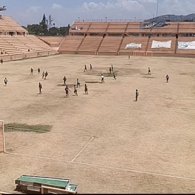 imagen-5