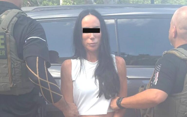 ines-gomez-mont-detenida-en-miami
