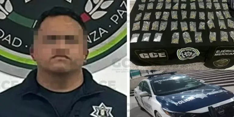 poli-narco