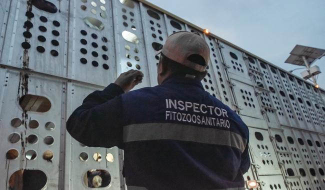 post_261000_AGRICULTURA_SENASICA_INSPECCIO_N_EN_CARRETERAS-10-3