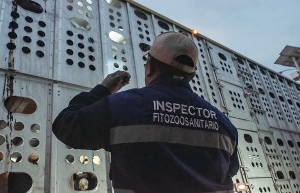 post_261000_AGRICULTURA_SENASICA_INSPECCIO_N_EN_CARRETERAS-10-5